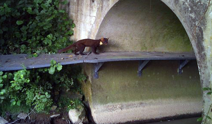 Passage pour la petite faune